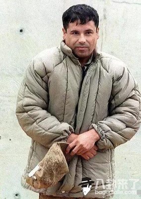 “黑天鹅”行动:“龙套”抢走一切戏码的闹剧