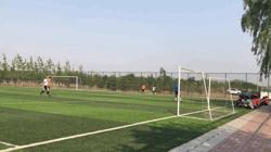 紫禁之巅2020,紫禁之巅199集