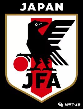 2018俄罗斯世界杯日本vs塞内加尔,2018俄罗斯世界杯日本vs波兰