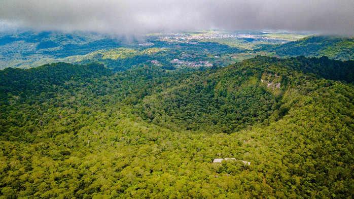 美娜多潜水圣地,印尼美娜多海豚潜水