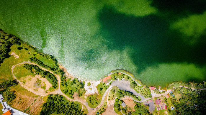 美娜多潜水圣地,印尼美娜多海豚潜水