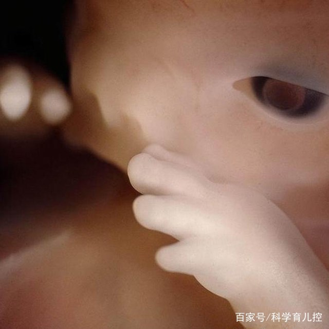 精子的产生全过程,精子从开始到最后的过程