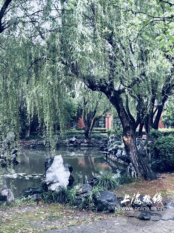 绿树成荫景色宜人清新空气,绿树成荫环境优美空气清新