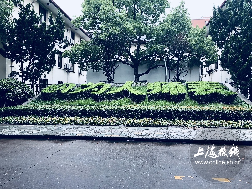 绿树成荫景色宜人清新空气,绿树成荫环境优美空气清新