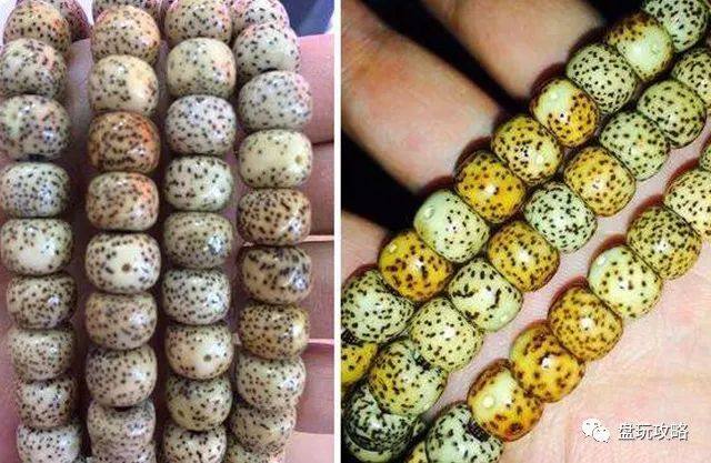 星月菩提干手盘好还是汗手盘好呢,紫金鼠和星月菩提哪个更值得盘玩