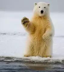 中国人如何取好听的英文名,外国人取中国名字大全