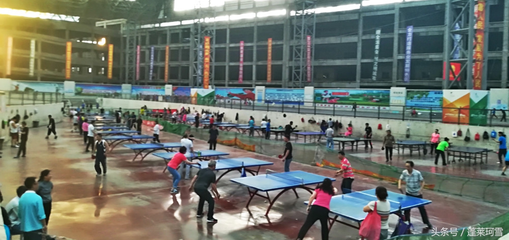 沈阳滑翔公园选址,沈阳滑翔公园改造有计划没