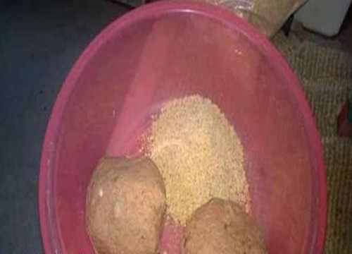 用鸡肝块钓鱼,鲜鸡肝怎么挂钩钓鱼