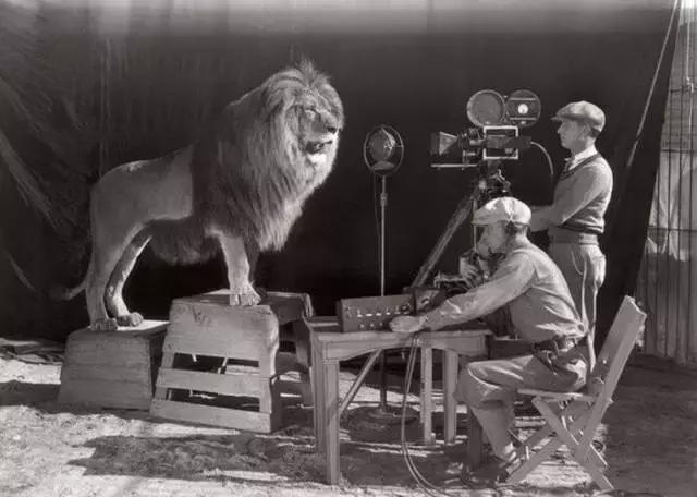 年轻时的霍金照,霍金珍贵照片