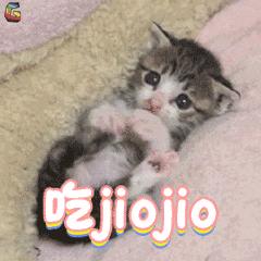 武汉光谷最好的店,武汉光谷探店游玩榜