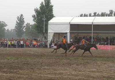 中华民族大赛马2020比赛日程,中华民族耐力赛马节