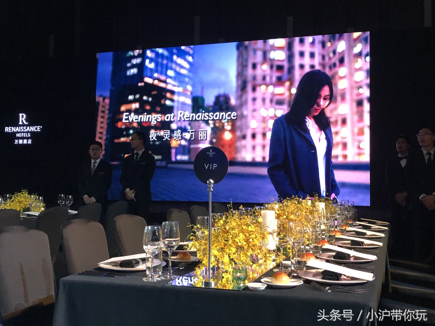 我在苏州太湖湖畔的万丽酒店听了一场蔡健雅的演唱会