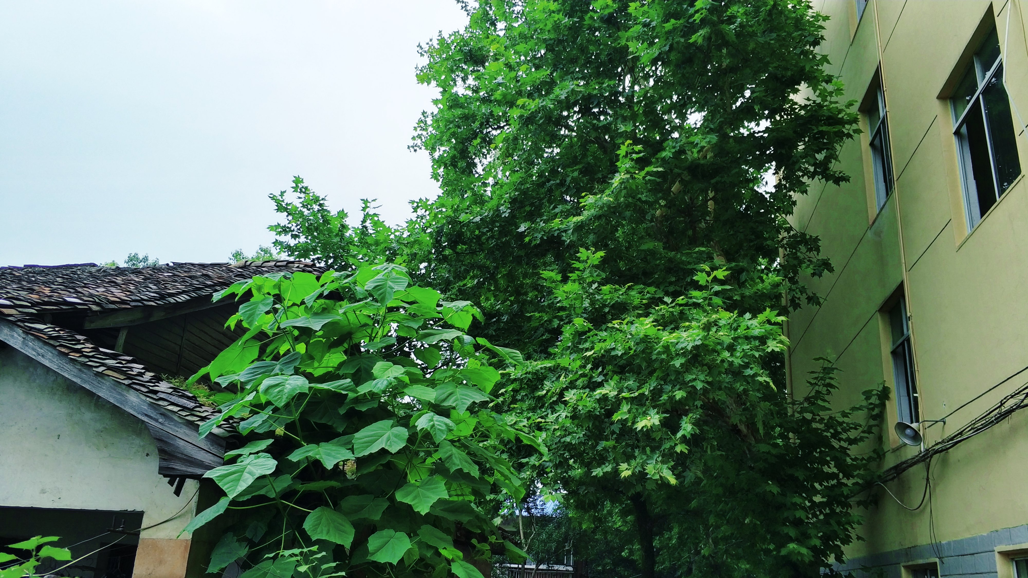 马上就要高考了，去抚州市第一中学看他们踢一场校际足球赛