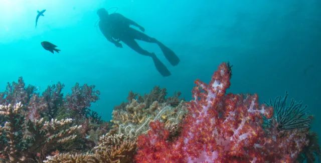 沉迷私岛酒店,这个夏天缺一次马来之旅