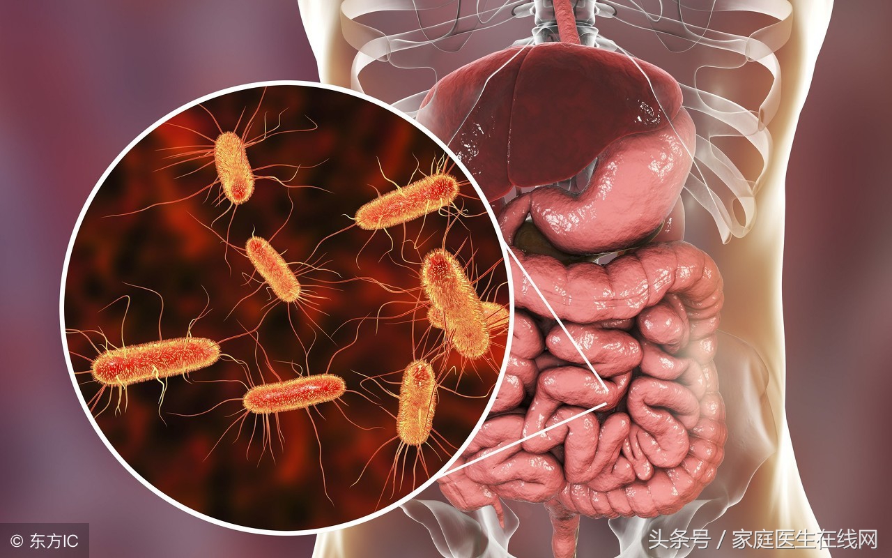 别再被骗了这20种食物能逆龄抗衰,养胃不要碰这八种伤胃食物