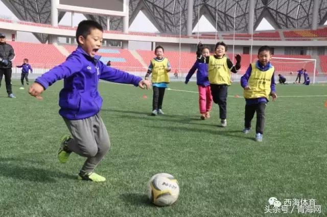 青海体育馆免费开放时间,青海体育馆免费健身馆