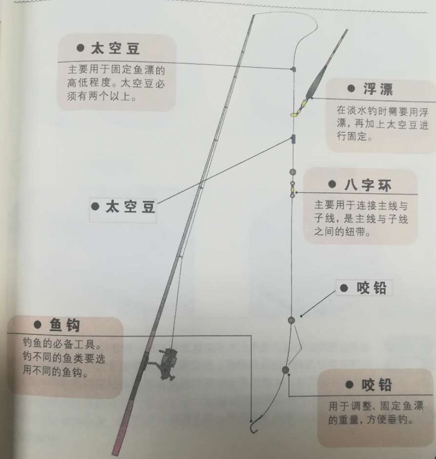 鱼线组成部分大全,一根鱼线上由哪些配件组成