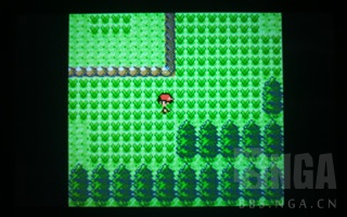 精灵宝可梦游戏可以选世代,精灵宝可梦游戏盘点冰系道馆