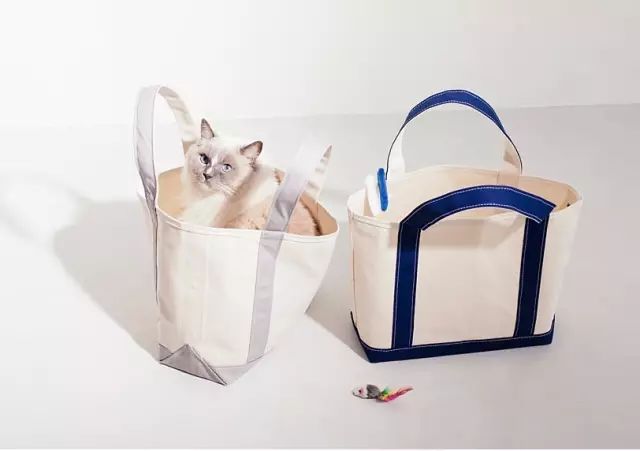 帆布包10块,10块钱帆布包