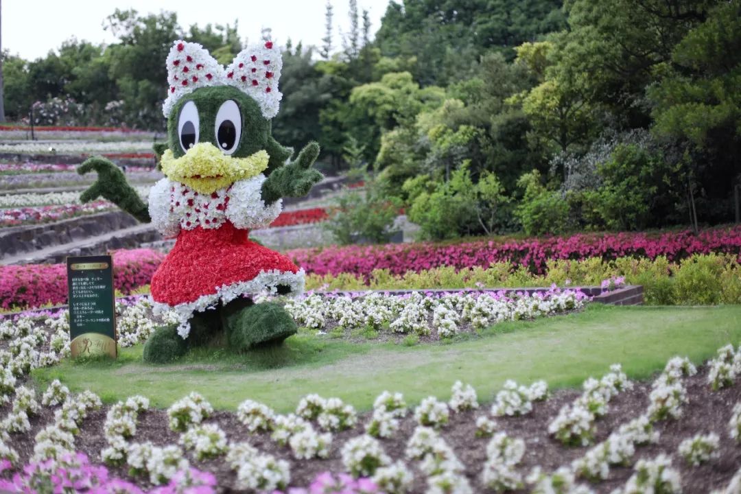 日本的这个地方，很少有中国游客，超级文艺治愈系！