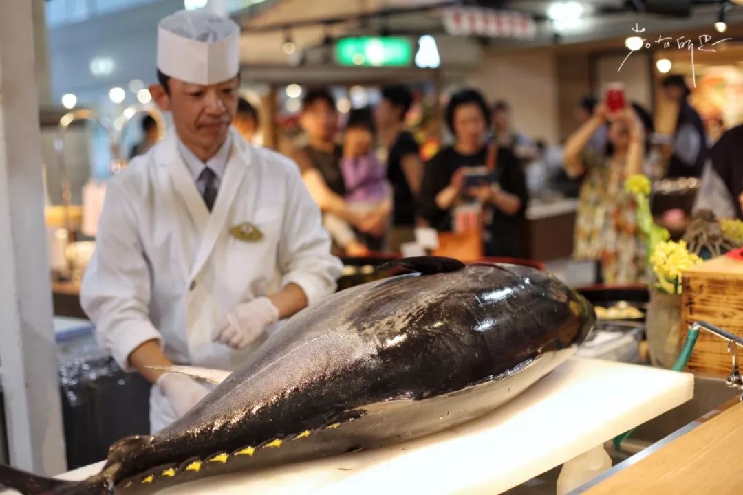 五天四晚适合去哪玩,适合五天四夜清静的旅行