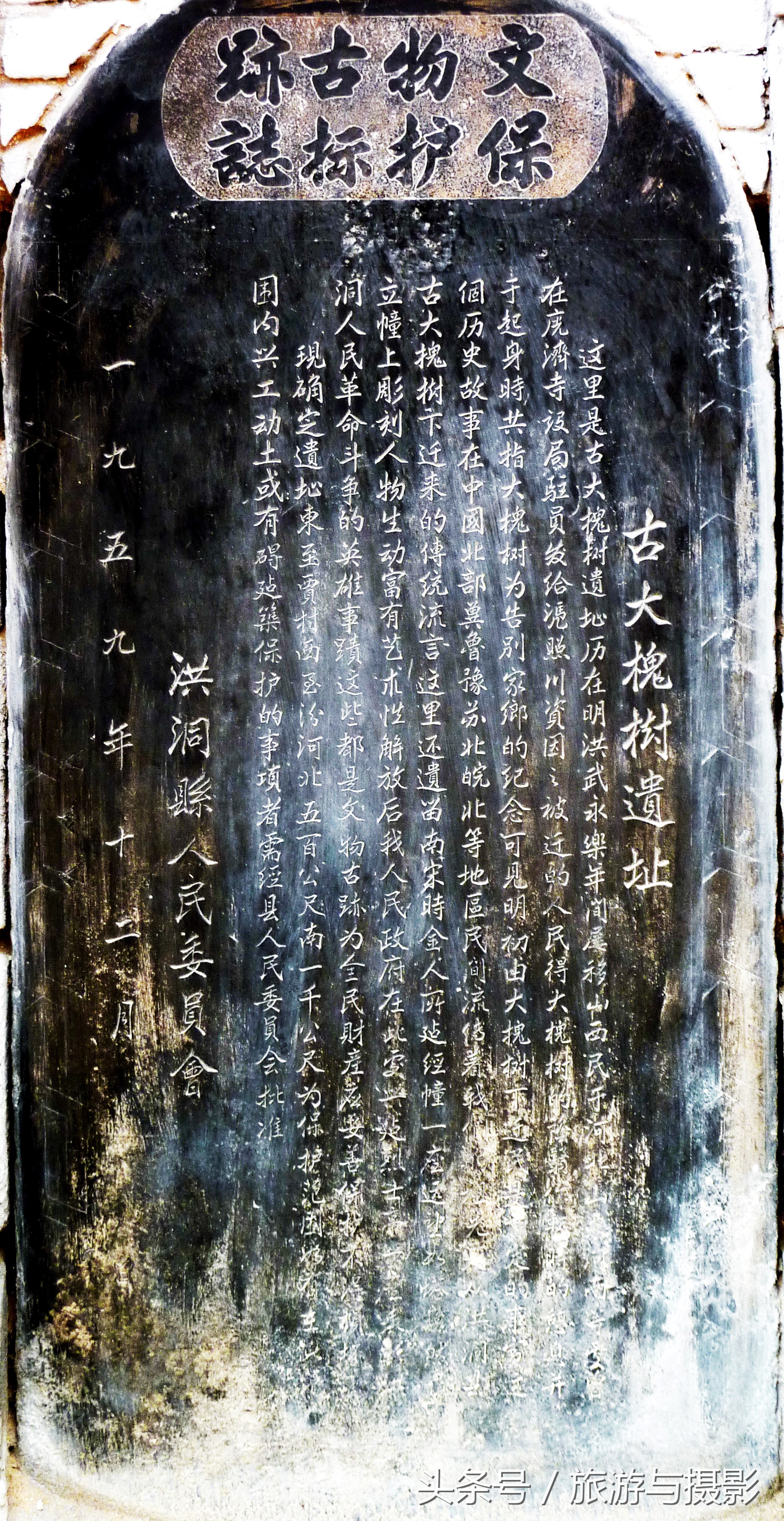 洪洞大槐树祭祖大典,洪洞大槐树迁出的姓氏