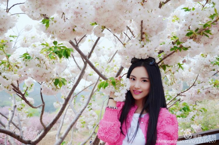 空姐十二钗（副册）