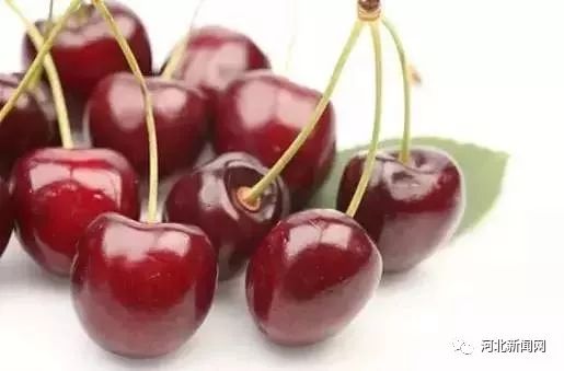 茄子不能竖着吃,茄子不要老是炒着吃