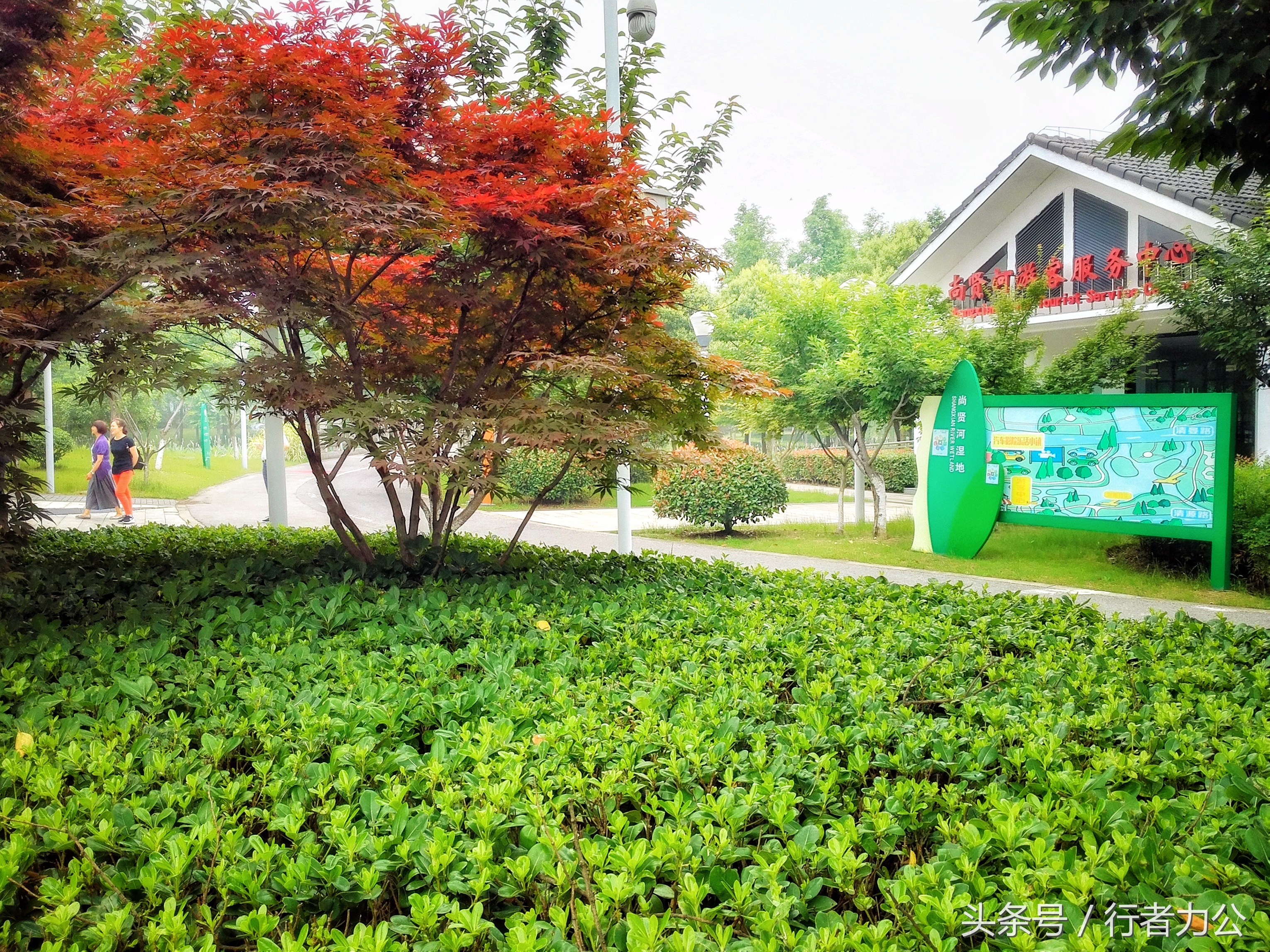 尚贤河湿地公园攻略,尚贤河湿地景点