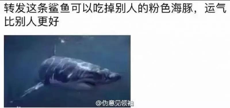 人类最害怕的东西是什么,小龙虾人类史上最悲惨的物种入侵