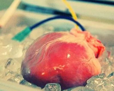 中国海关携带药品出境,海关查获入境人体血液样本