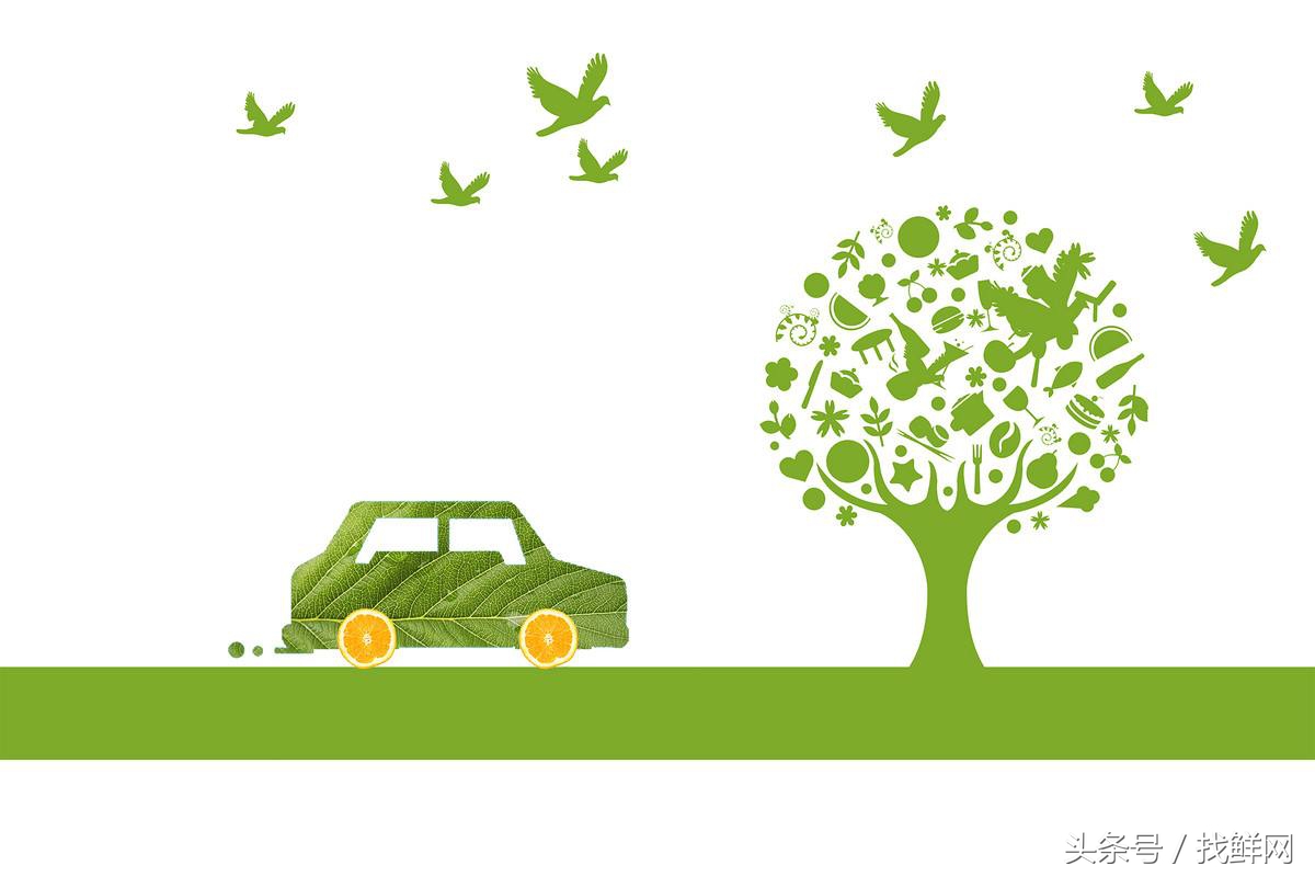 对环保的认识和看法,我们对生态环境做出哪些贡献