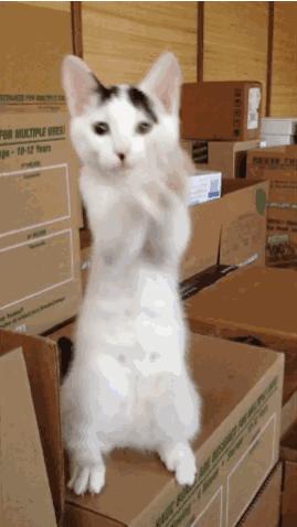 自然美白提亮肤色推荐,日常美白提亮肤色用什么