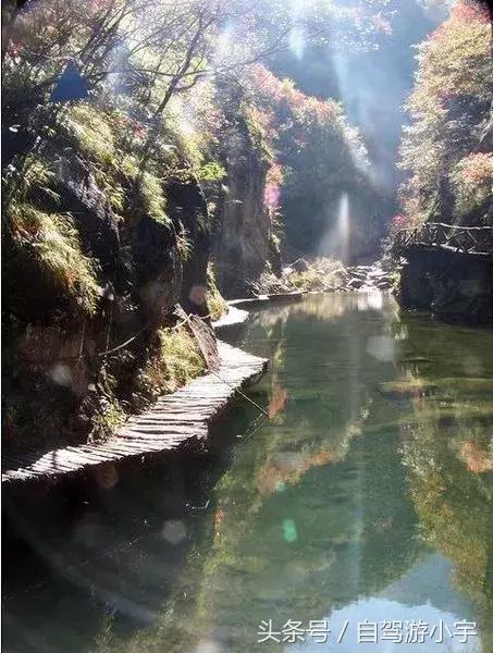 洛阳养子沟一日游,洛阳养子沟度假养老