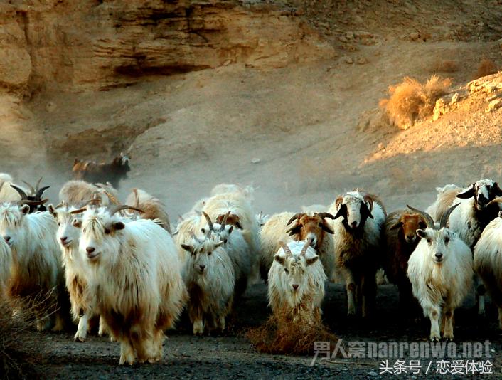 谈恋爱正确的方法都有哪些,谈恋爱的技巧有哪些