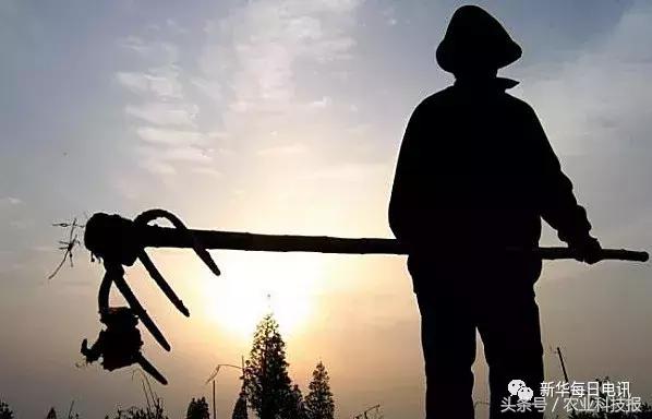 当农民不再种地了大城市会怎么样,当农民离开农村