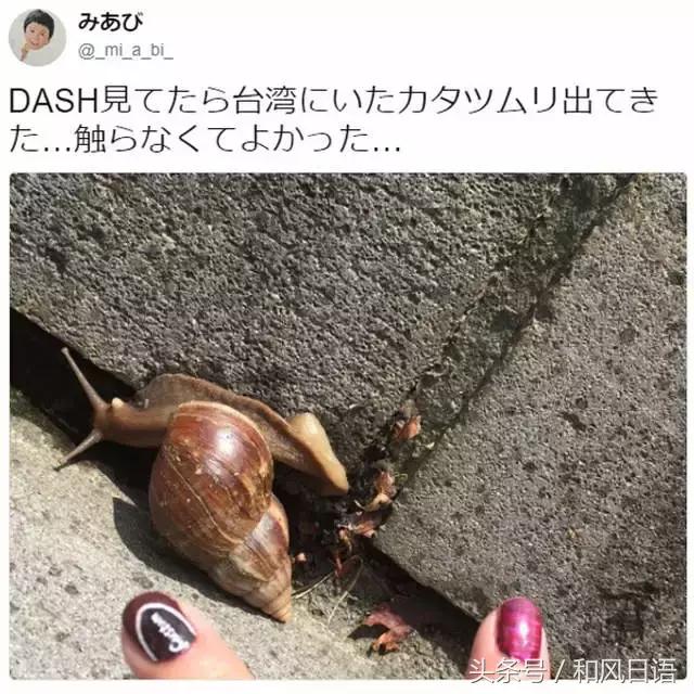 摸一下可能会死？！这个入侵日本的外来物种好可怕！