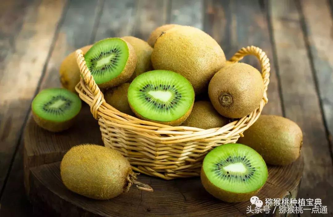 野生猕猴桃根熬制喝能治乳腺癌吗,预防乳腺癌需要打什么疫苗