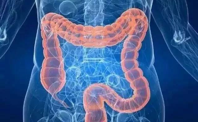 便秘严重喝的茶,一种很苦的茶改善便秘