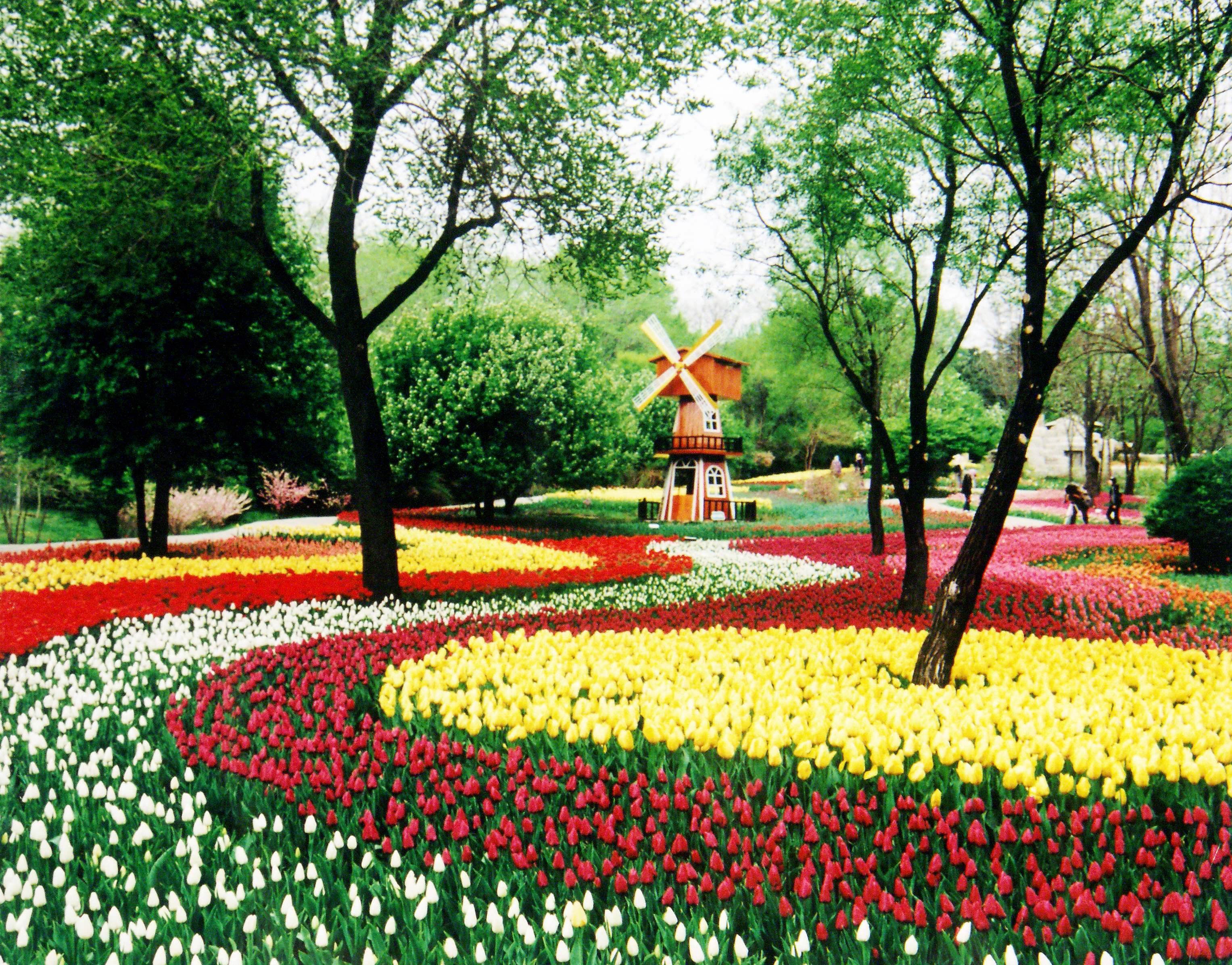 沈阳国际旅游节夏季游,2018沈阳冬季游玩