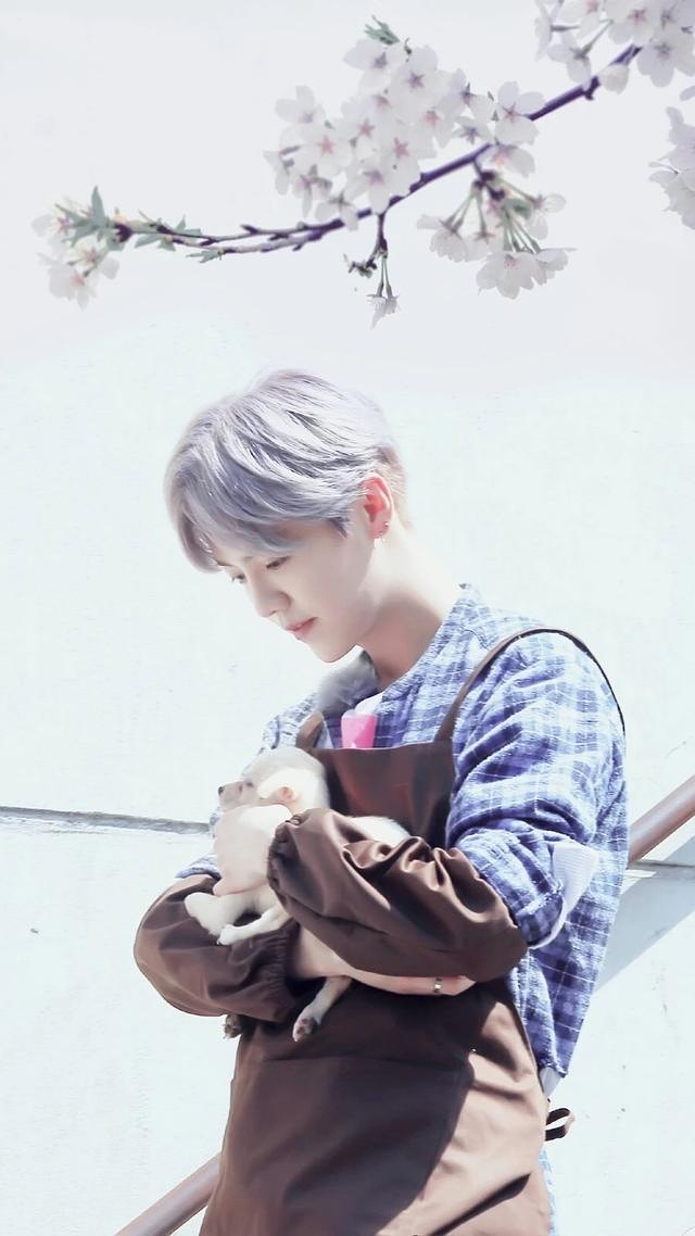 壁纸ipad超清鹿晗,鹿晗壁纸iphone专用