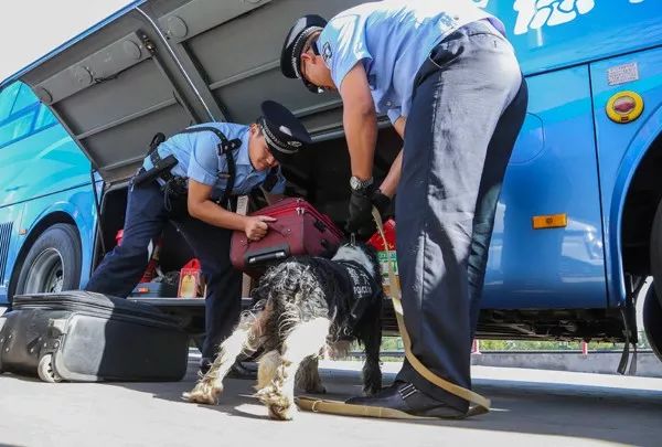 鄂尔多斯警察厉害吗,鄂尔多斯警察