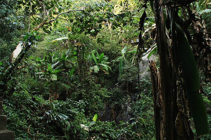 最美樱花温泉,樱花谷泡温泉价目表