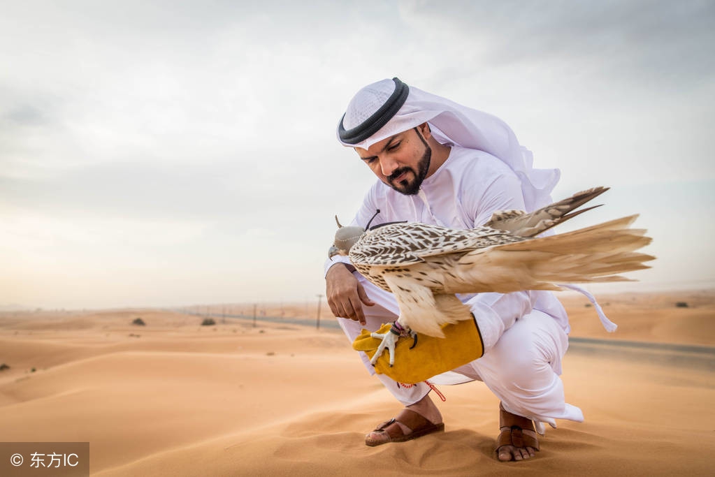 七年级下地理全册必背考点,七年级下地理期末复习资料人教版