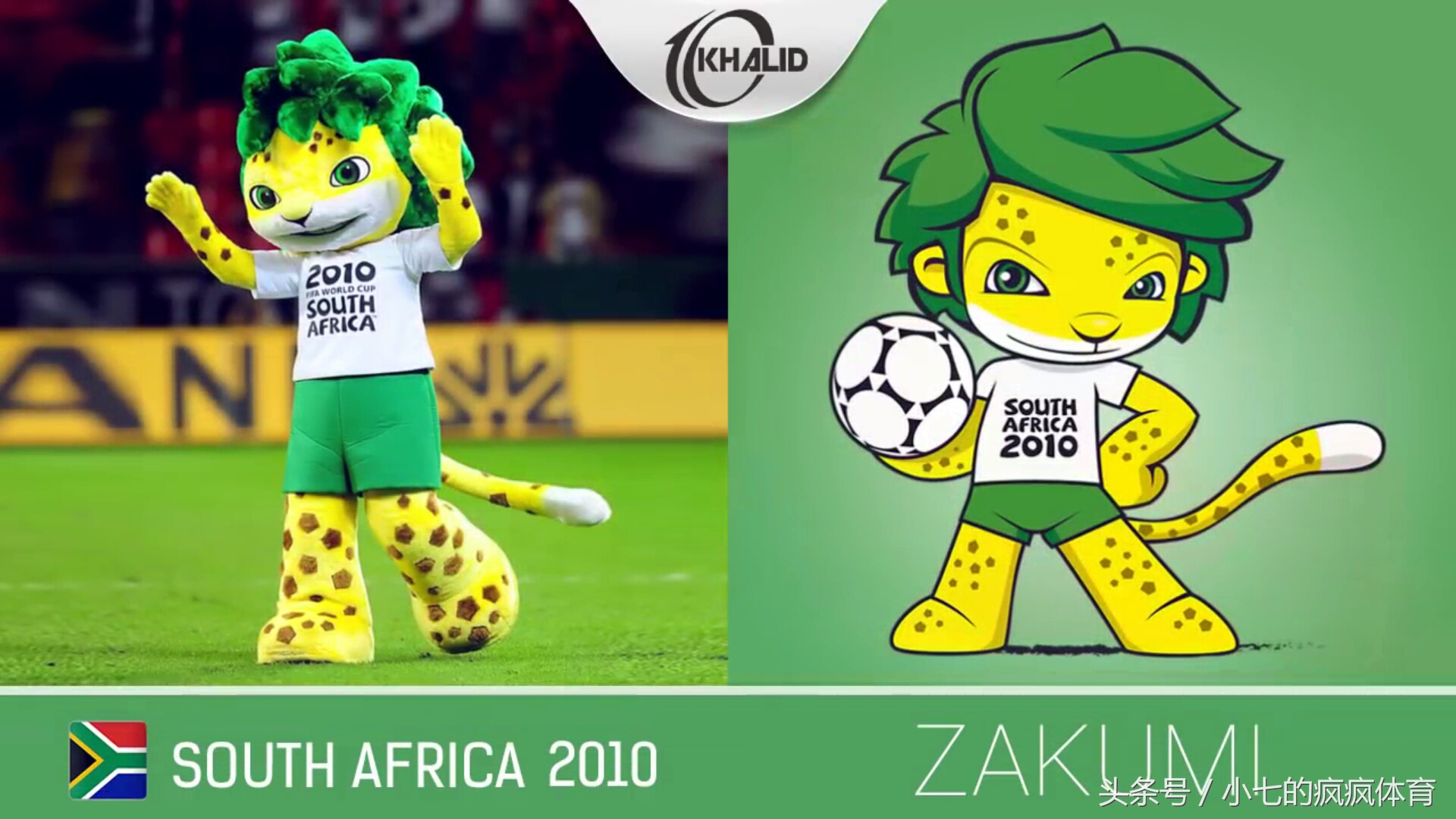 了解世界杯吉祥物,世界杯吉祥物是什么动物