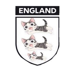 英格兰队遭美国球迷嘲讽,世界杯英格兰队绰号