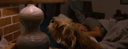 敲可爱的头衔,敲可爱头衔