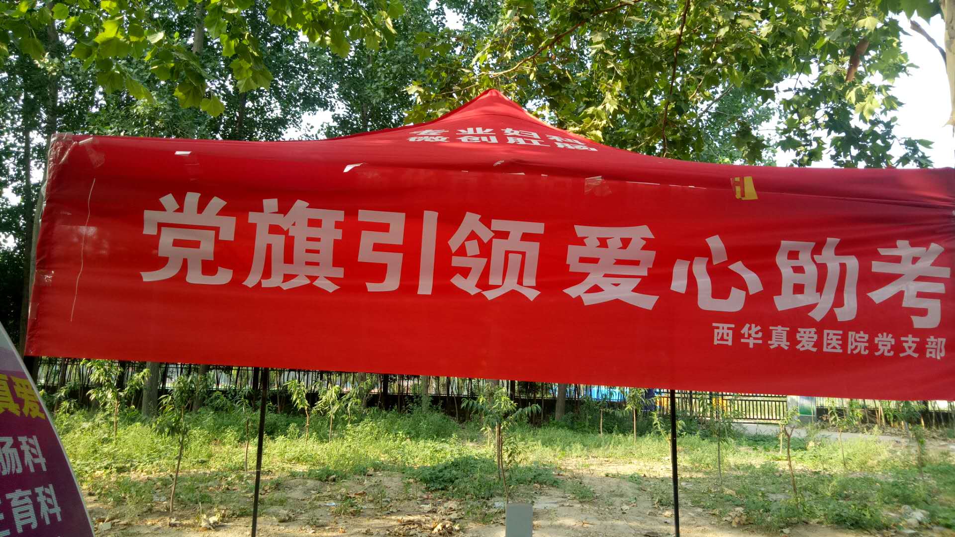 西华博爱医院,西华县真爱医院怎么样