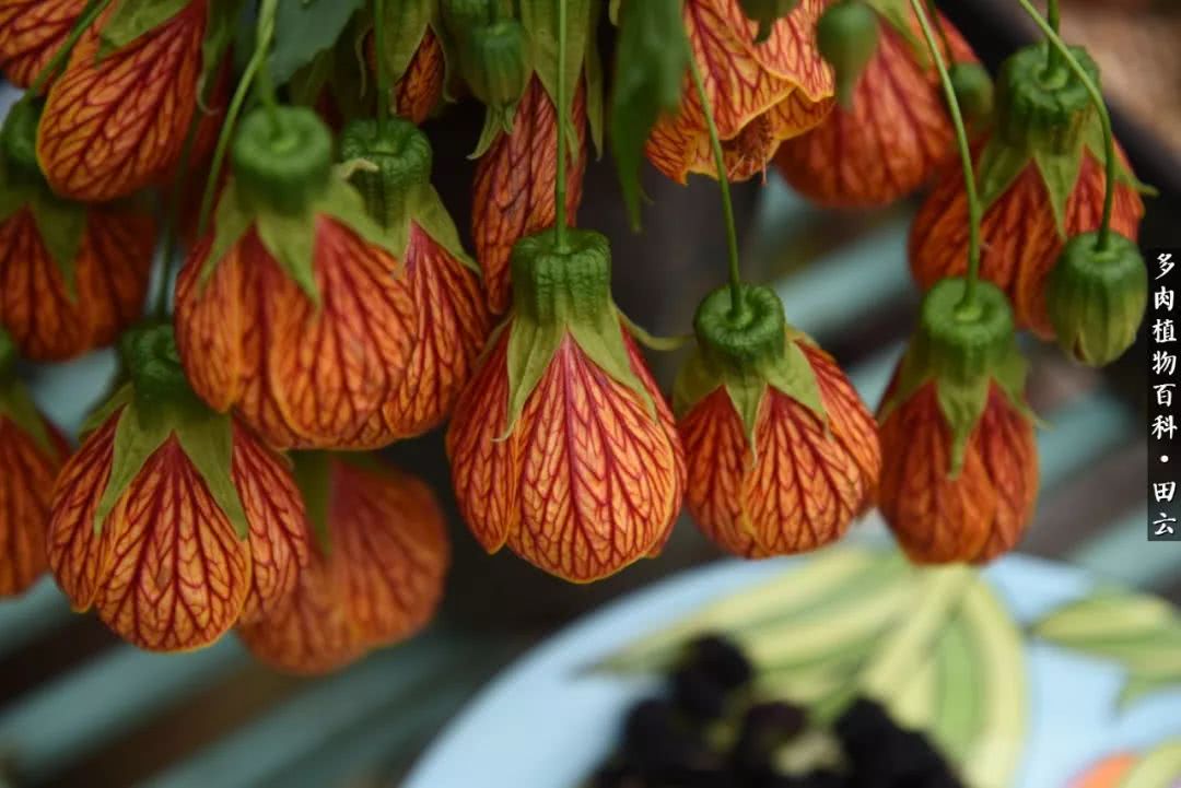 推开世界的门和自己和解,推开世界的门你所看到的风景