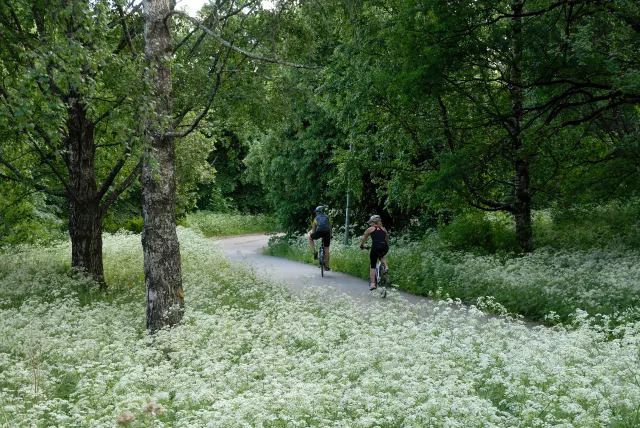 于韦斯屈莱三日游,于韦斯屈莱大学博士